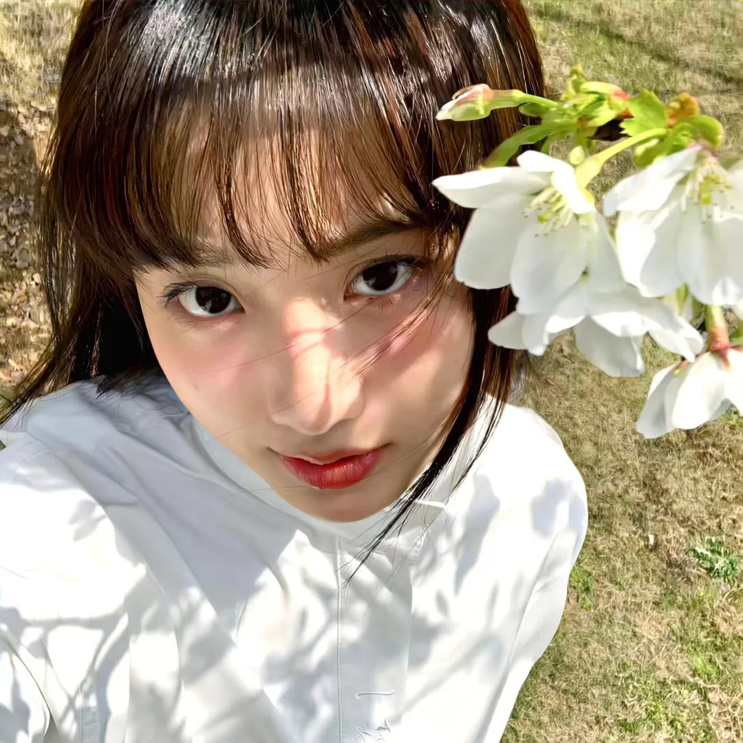 好莱坞怪物
