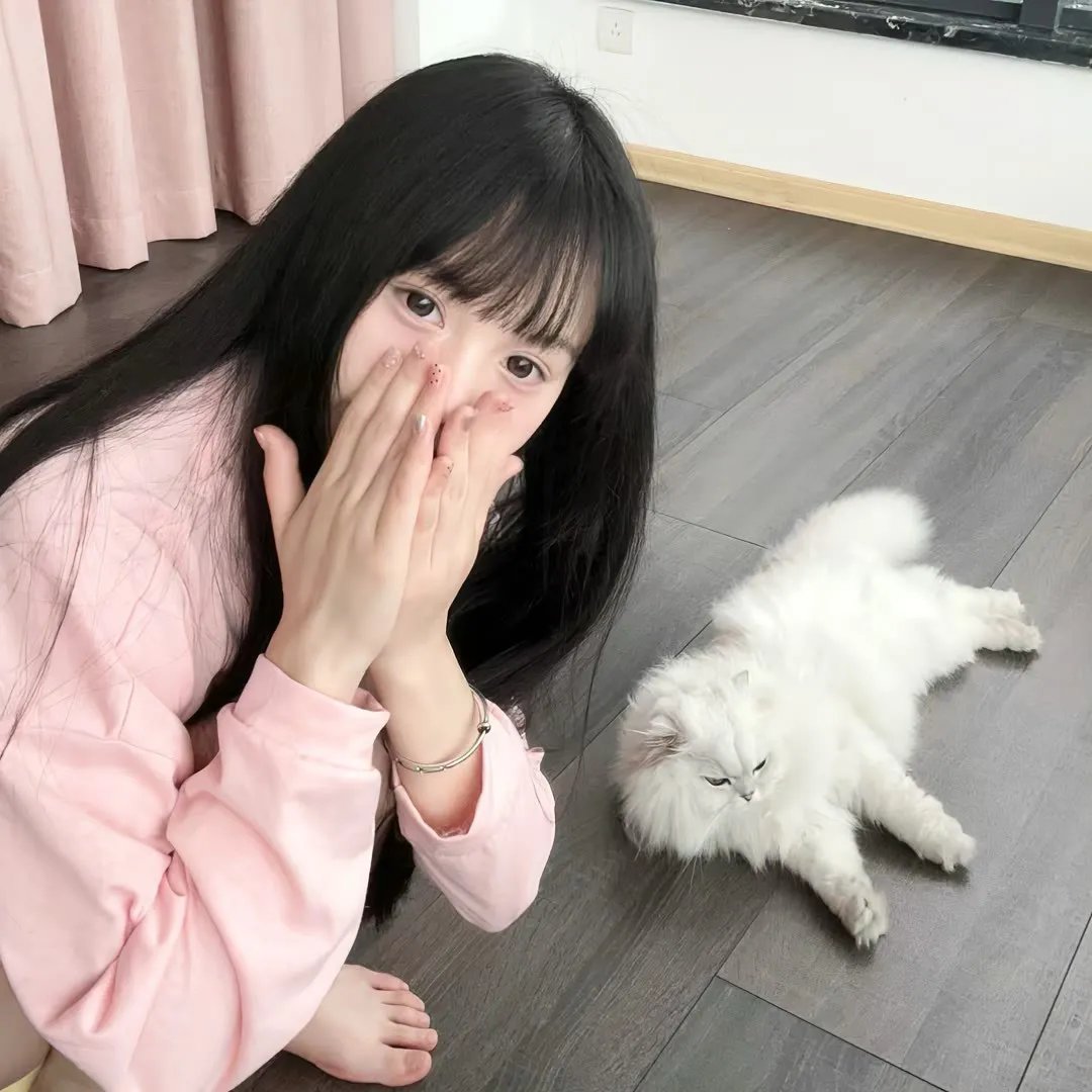 触不可及(美版)